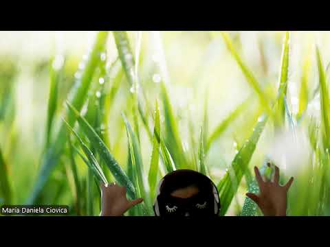 HIPNOZA REGRESIVA.RO341 Cosmin,cufarul cu emotii,piedicile financiare,esecul/insuficienta