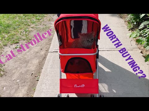 Is a Cat stroller worth buying?| pawhut | cheapest cat stroller