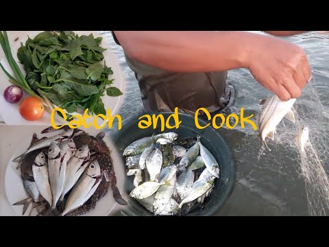 Ep. 35 Pang-Lalambat or Net Fishing (Catch and Cook) Sinabawang isda at Alimasag...