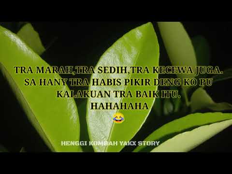 tra habis pikir dengan ko sifat.