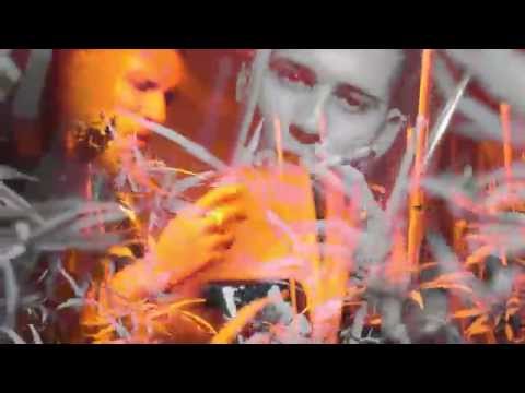 EL TIRADOR --- HUCHO