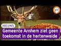 Moeten de damherten weg uit Park Sonsbeek?