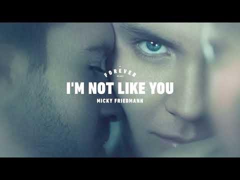 Micky Friedmann - I'm Not Like You