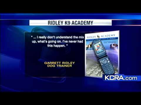 Dog Trainer Suspected Of Animal Abuse