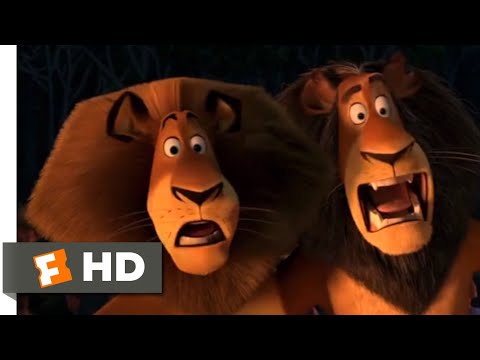 Madagascar: Escape 2 Africa - The Lion Dance | Fandango Family