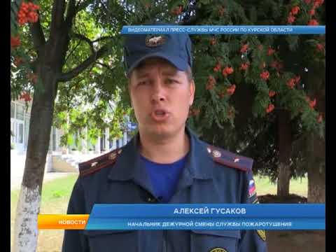 Курских студентов готовы эвакуировать