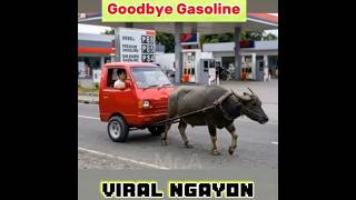 Viral  Paraan Iwas Gasolina Dahil Taas Presyo 😂