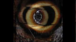 DEAD CAN DANCE - Spirit