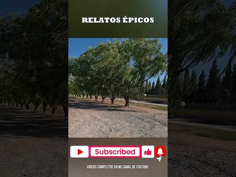 CONTRALMIRANTE CORDERO RÍO NEGRO