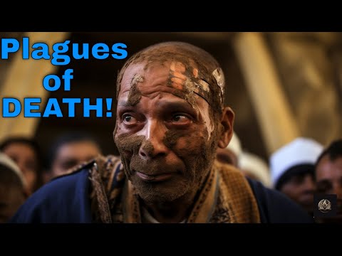 BIBLICAL Plague of the LIVESTOCK, BOILS and HAIL?