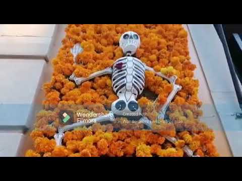 Celebremos lo inevitable @DiabloSwingOrchestra-Official Guitar cover