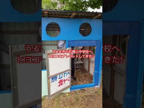 幸せな羽の生えた鳥を育てるために、鶏小屋に泥が入らないようにするにはどうすればよいでしょうか?試してみたい6つの素晴らしいアイデア  庭園