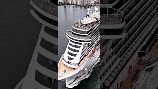 MSC SEAVIEW cruise ship cruzeiro navio transatlantico  santos brasil @cruzeiros2025  2025  #shorts