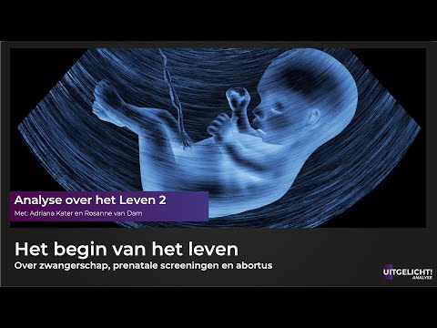 Uitgelicht! Analyse over het Leven 2 - Het begin van het Leven