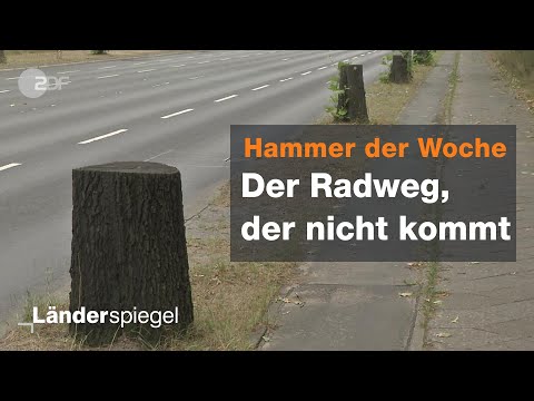 61 Bäume sinnlos gefällt - Hammer der Woche vom 15.09.2019 | ZDF