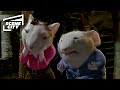 Stuart S Fake Parents Tell Him The Truth Stuart Little Michael J Fox Bruno Kirby