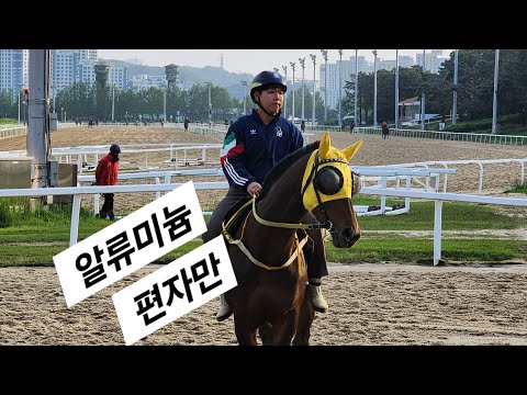 쇠편자 알류미늄편자 기록 왕창갱신/92년 6월이후 알류미늄