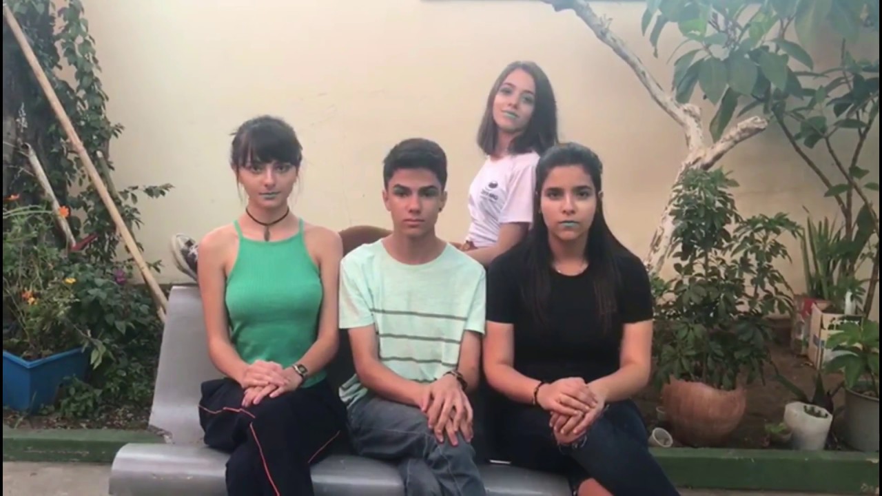 Pteridófitas-(paródia) Anitta | Paradinha