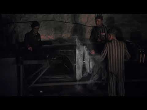 Bekijk video