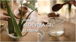 2 ways to make pure organic aloe vera gel at home and preserve for months.