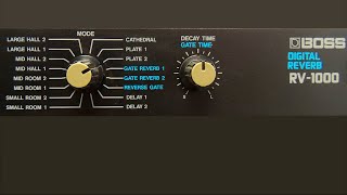 Video thumbnail for BOSS RV-1000 (1990) Digital Reverb by Nacho Marty Meyer