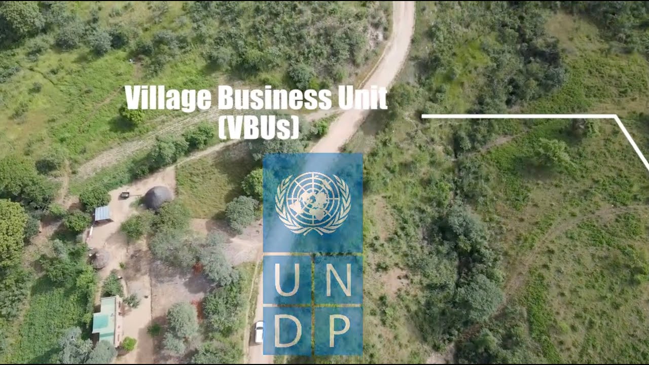 Village Business Units (VBUs) | A DAF-Ready Community Investment Model – UNDP Zimbabwe