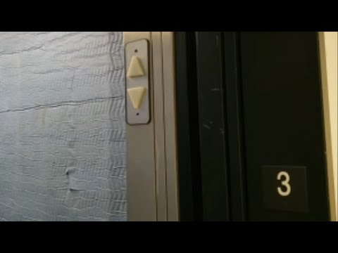 ThyssenKrupp Aurora Hydraulic Service Elevator - USF Business Partnership Building - Tampa, FL