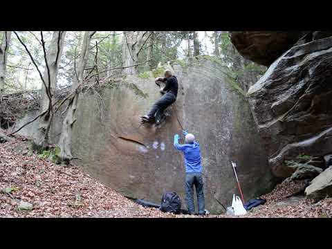 Crin de argint (7B)