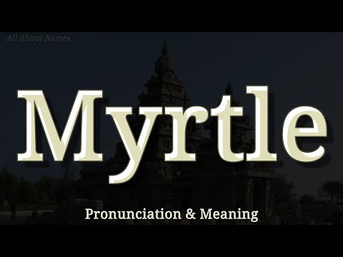 Myrtle: Pronunciation and Meaning (American and British Pronunciations)