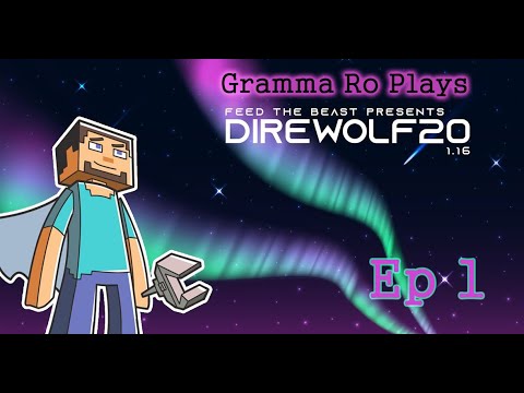 Direwolf20 1.16 Modpack Episode 1 - Beginning again!