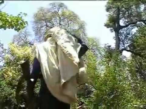 Traditional Amharic music By Tadesse Alemu - Goje melegnaw