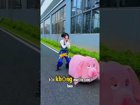 cô ấy nhảy nên con heo và bay nên trời.