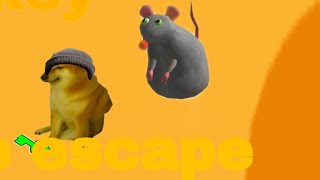 How to get the 4 digit code in cheese escape