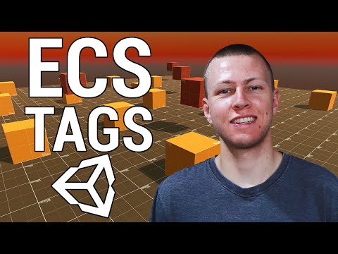 How to CORRECTLY Use TAGS in ECS - Unity DOTS Tutorial [ECS Ver. 0.17]