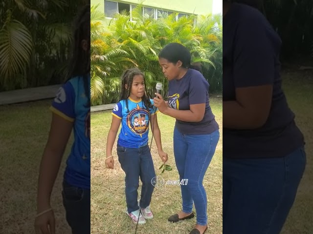 Vídeo relacionado con Papo - Espada Unicornio, Panoplias de Espuma para Jóvenes Aventureros a Partir de 3 Años - Accesorio de Caballería para Cuentos Fantásticos y Juegos de rol