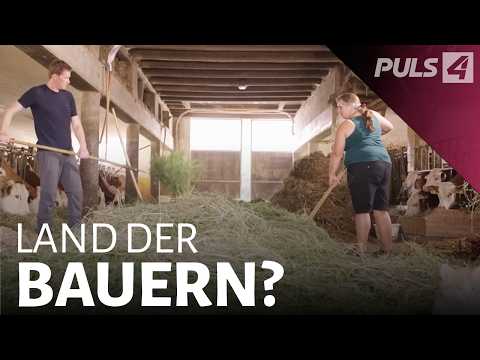 This is how the "average Austrian" lives on a farm | PULS 4 documentary