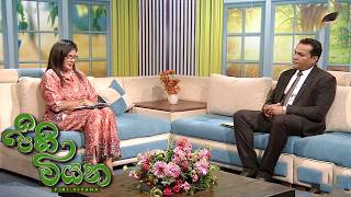 Pini Viyana – 2026-07-24