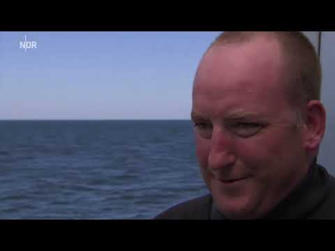 20150714 NDR Nordmagazin Schlepper