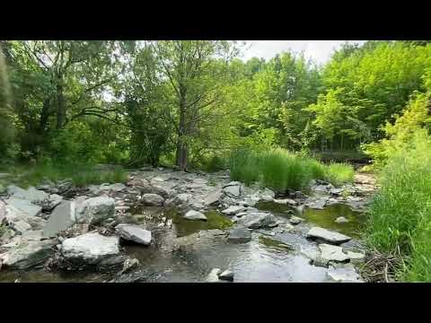 Guard Your Peace: Guard Your Heart!