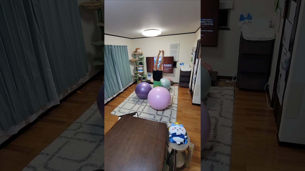 breakfast🎵 Mrs. GREEN APPLE🎶 #動じない猫 #信頼関係 アクロバット×バランスボール 頭の中で楽曲を想像&表現🧏‍♀️ #ミセス特集