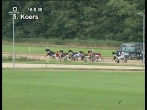 tweejarige stakes 16-08-2009