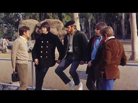 The Beach Boys - Hang On To Your Ego (Stereo Remix)