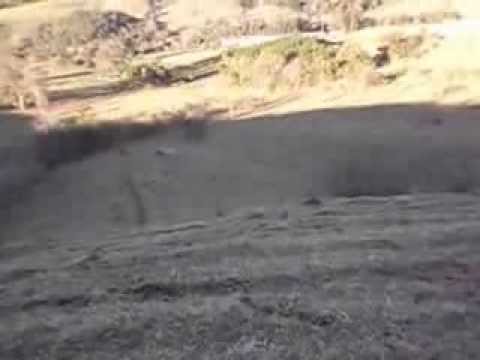 Trilha BOM JESUS SO SUL-PR