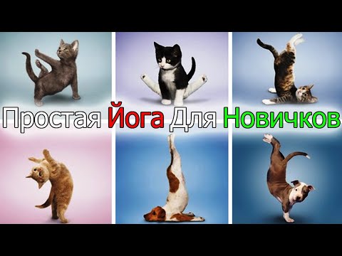 Йога - Это Ты Должен Делать ЕЖЕДНЕВНО в Любом Возрасте! Простая Йога Для Новичков