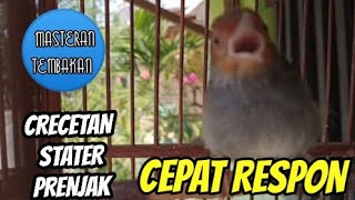 Download lagu Suara Prenjak Starter ampuh buat pikat mp3