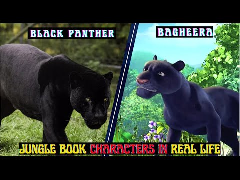 Jungle Book 3D Characters In Real Life PART 2 | REEL VS REAL LIFE