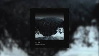 Lstn - Guard Down
