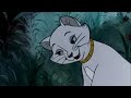 Beauty And The Bear Part 2 Duchess Meets Warren T Rat And Digit