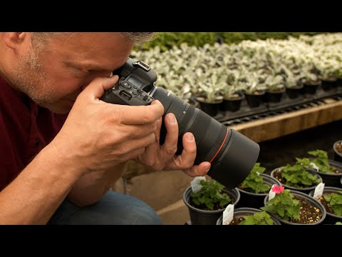 Canon RF 100mm f2.8L Macro Hands-on Preview
