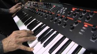 Dave Smith Instruments Prophet 12 - What To Know & Where To Buy ...